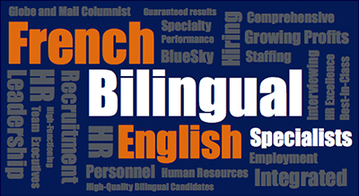 bluesky personnel solutions your partner in hr excellence